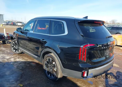 2024 Kia Telluride Sx from USA, damaged, VIN 5XYP5DGC6RG450718